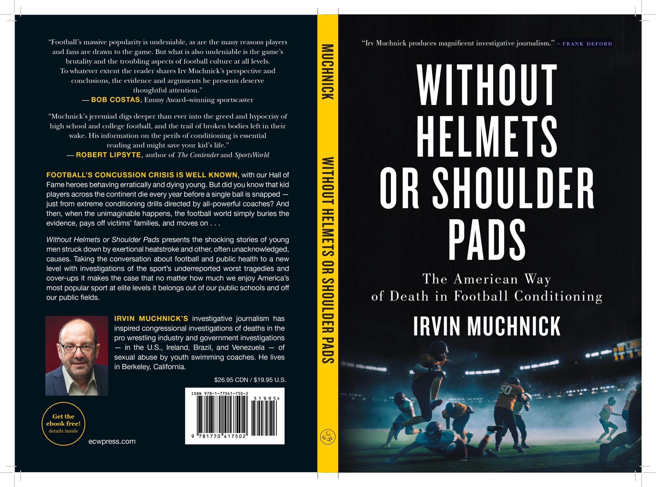 A book cover with an image of baseball players.